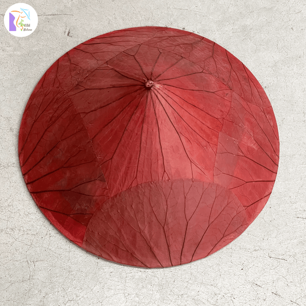 Lotus Leaf Vietnamese Hat
